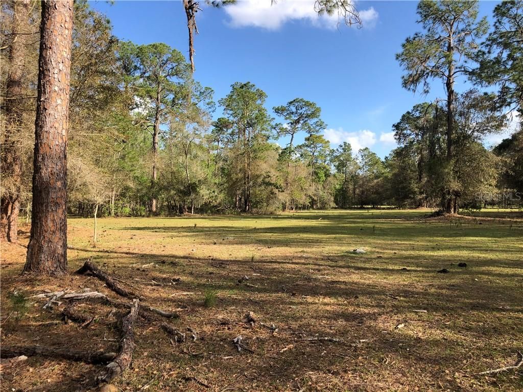 Photo of Crystal Springs Road, Crystal Springs, FL 33524 (MLS # T3292901)