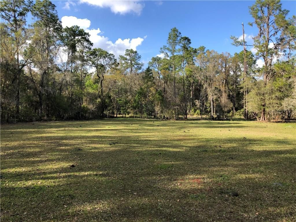 Photo of Crystal Springs Road, Crystal Springs, FL 33524 (MLS # T3292901)