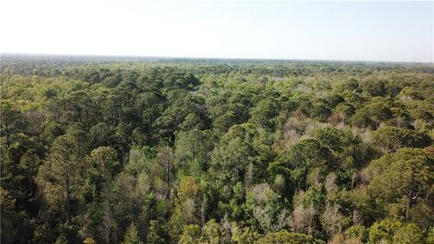 Tiny photo for 1500 S Candlenut & 1627 S Palm Avenue, Homosassa, FL 34448 (MLS # W7832093)