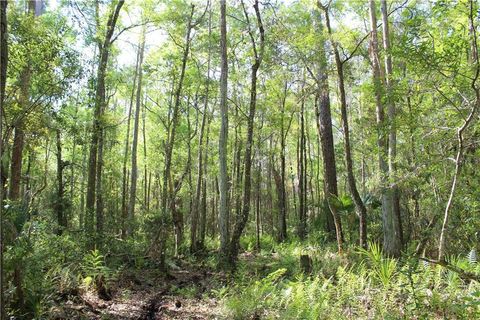 Tiny photo for 1500 S Candlenut & 1627 S Palm Avenue, Homosassa, FL 34448 (MLS # W7832093)