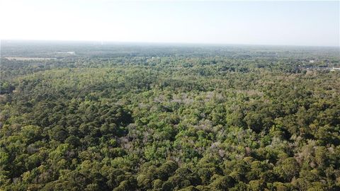 Tiny photo for 1500 S Candlenut & 1627 S Palm Avenue, Homosassa, FL 34448 (MLS # W7832093)