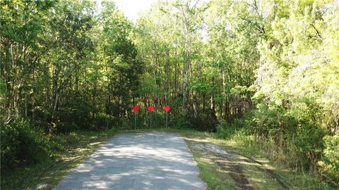 Tiny photo for 1500 S Candlenut & 1627 S Palm Avenue, Homosassa, FL 34448 (MLS # W7832093)