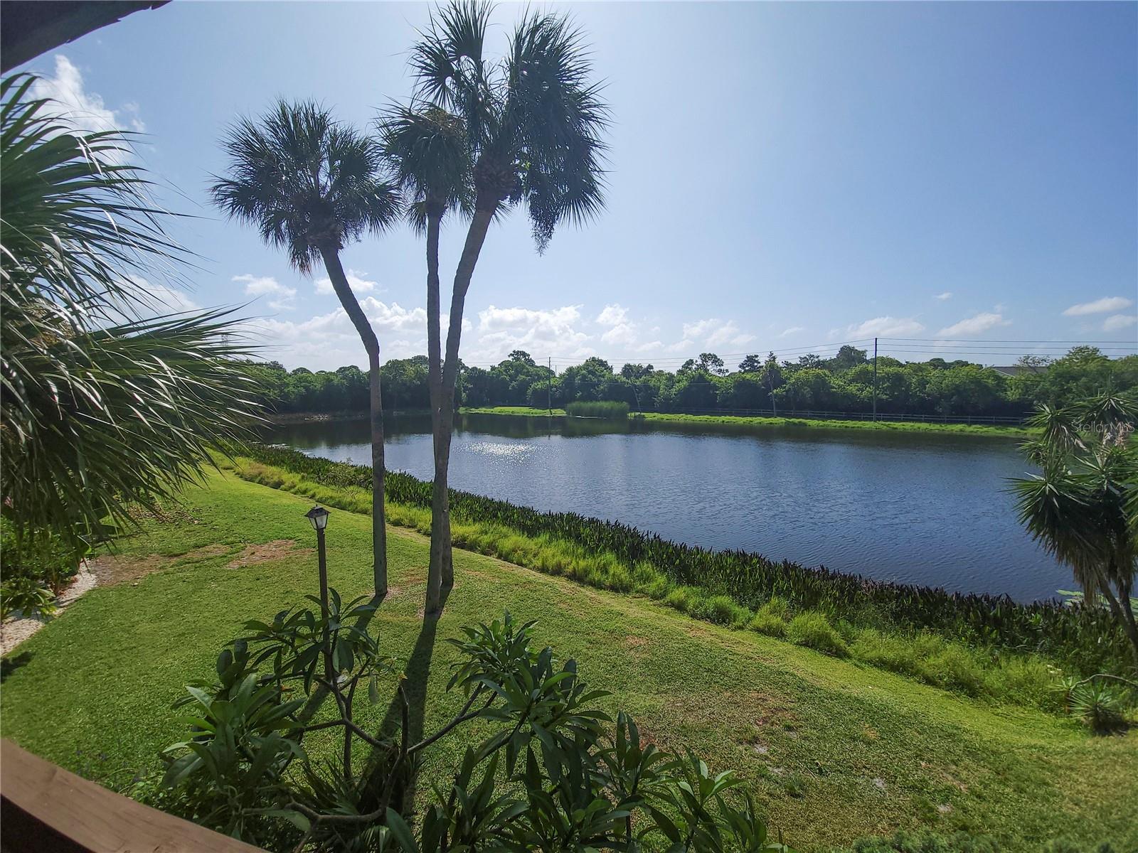 PEPPERTREE LAKE CONDO - Residential