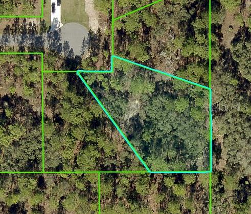 Nestled away in a highly desirable area of the Royal Highlands, this beautiful cul-de-sac home site is waiting for you. The location is fantastic, ready to build your dream home on - or hold on to as an investment. Not in a deed-restricted community no HOA or CDD fees either, and there is no time limit on when you can build. Close to all area amenities such as shopping, schools, dining, entertainment, medical, and saltwater fishing in the Gulf and natural freshwater rivers and springs- for those who love the outdoors. See this beautiful home site today before it is gone. If you have any questions just ask. Adjoining lot to the West is available for purchase as well.