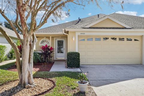 Photo of 19432 Haskell Place, Land O Lakes, FL 34638 (MLS # TB8463854)