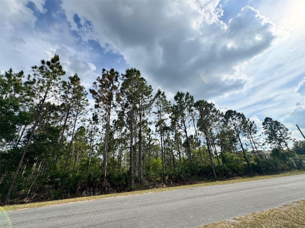 Photo of 00 Sodbury Street, Orlando, FL 32833 (MLS # O6406598)