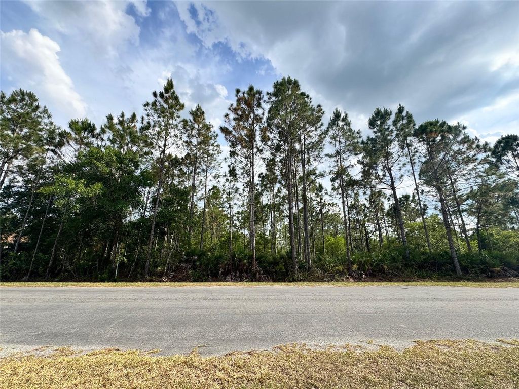 Photo of 00 Sodbury Street, Orlando, FL 32833 (MLS # O6406598)
