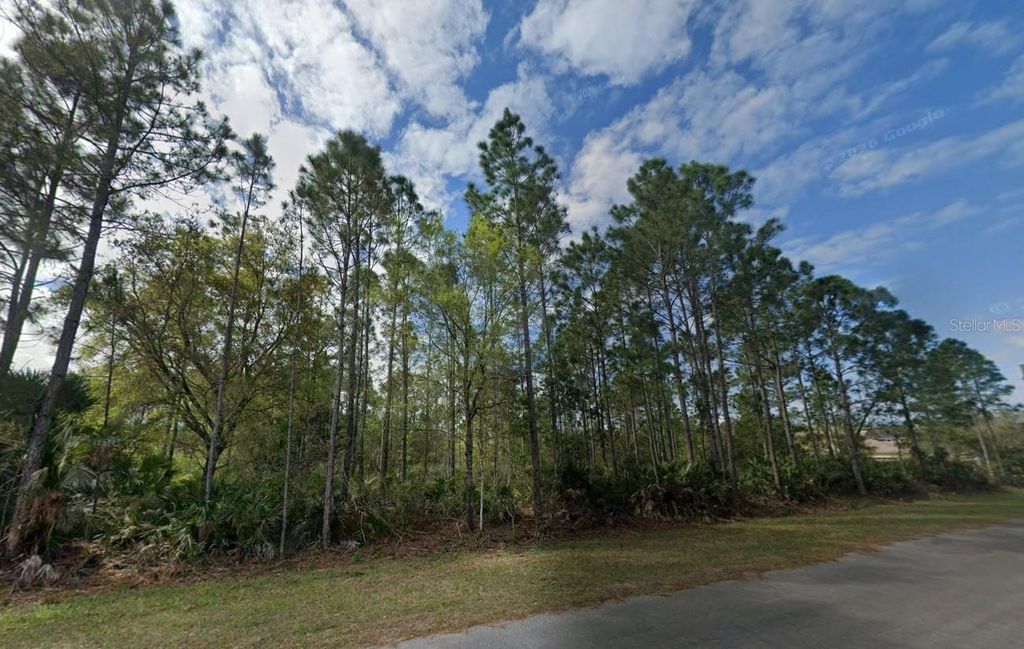 Photo of 00 Sodbury Street, Orlando, FL 32833 (MLS # O6406598)