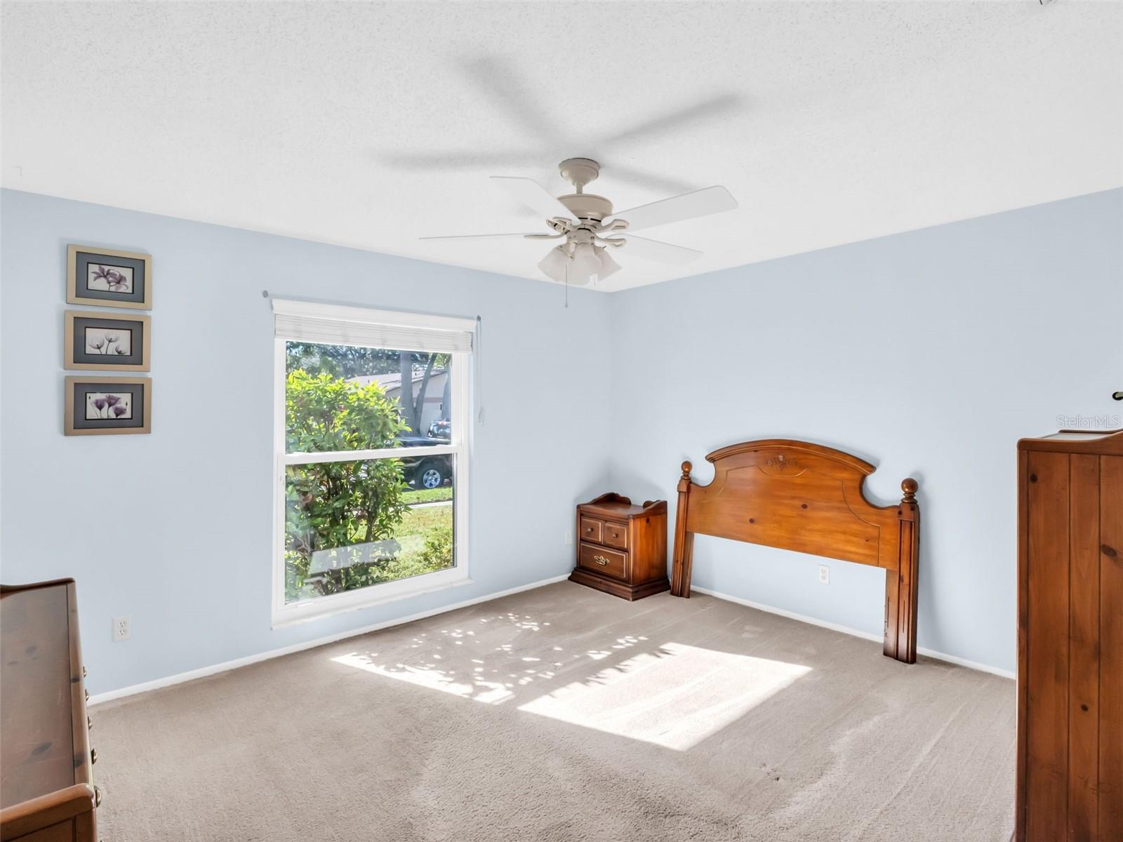 HOMESTEAD WOODS - Residential