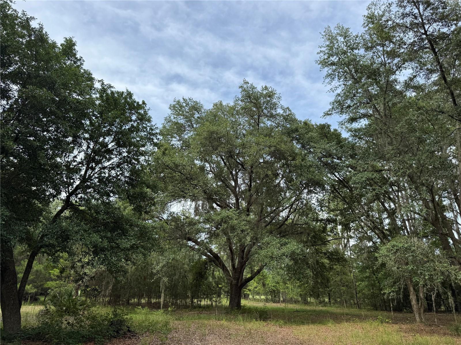 TBD NW 67TH BOULEVARD