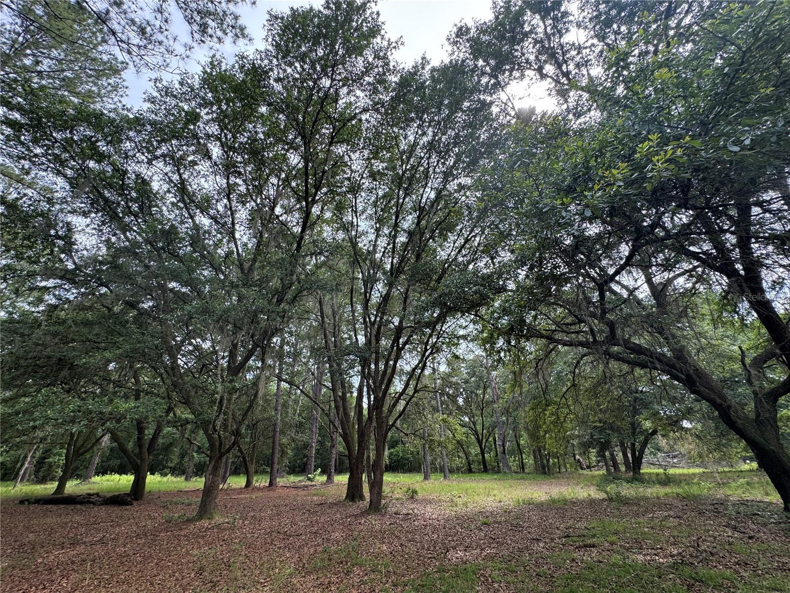TBD NW 67TH BOULEVARD