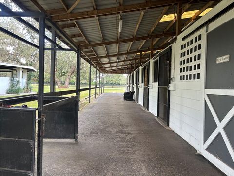 Tiny photo for 12943 County Road 245e, Oxford, FL 34484 (MLS # OM712548)