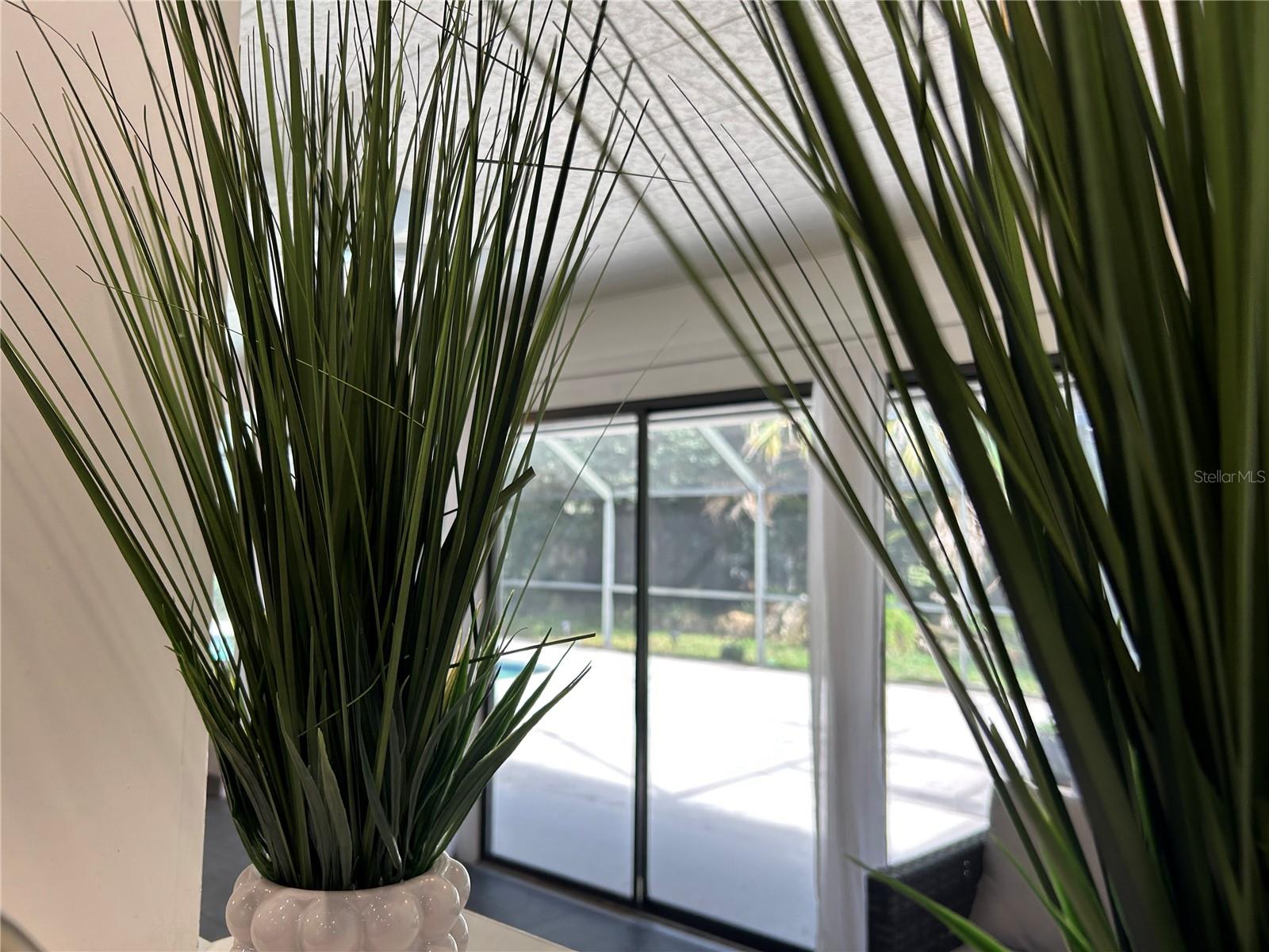 TILLMANS HAMMOCK - Residential