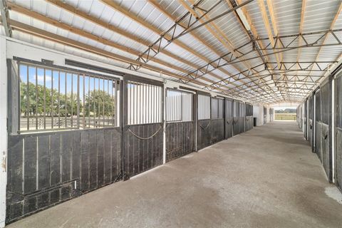 Tiny photo for 12943 County Road 245e, Oxford, FL 34484 (MLS # OM712548)