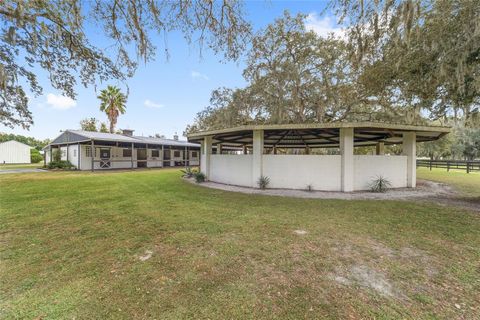 Tiny photo for 12943 County Road 245e, Oxford, FL 34484 (MLS # OM712548)