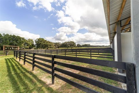 Tiny photo for 12943 County Road 245e, Oxford, FL 34484 (MLS # OM712548)