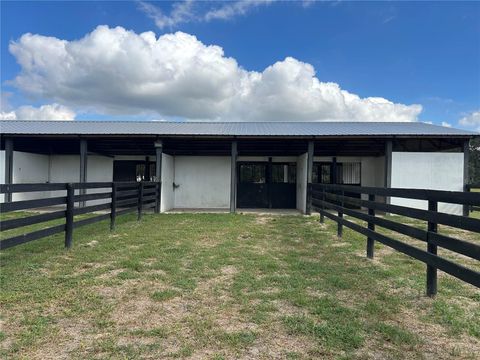 Tiny photo for 12943 County Road 245e, Oxford, FL 34484 (MLS # OM712548)