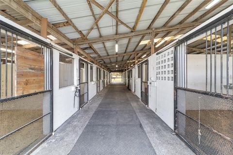 Tiny photo for 12943 County Road 245e, Oxford, FL 34484 (MLS # OM712548)