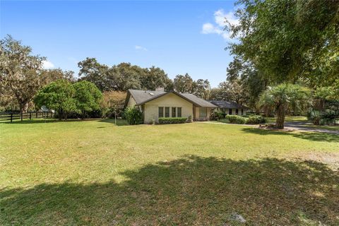 Tiny photo for 12943 County Road 245e, Oxford, FL 34484 (MLS # OM712548)
