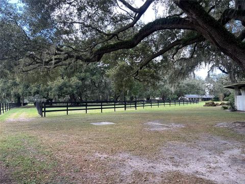 Tiny photo for 12943 County Road 245e, Oxford, FL 34484 (MLS # OM712548)