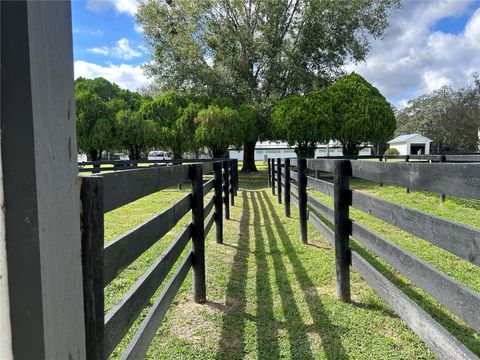 Tiny photo for 12943 County Road 245e, Oxford, FL 34484 (MLS # OM712548)