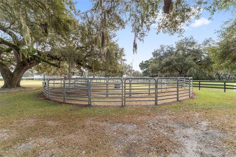 Tiny photo for 12943 County Road 245e, Oxford, FL 34484 (MLS # OM712548)