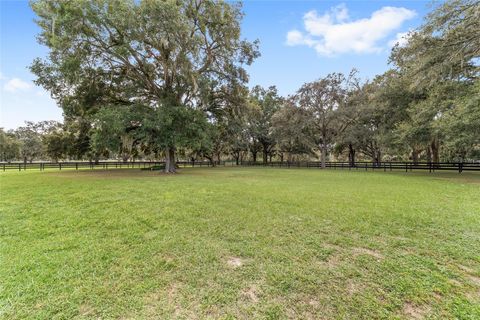 Tiny photo for 12943 County Road 245e, Oxford, FL 34484 (MLS # OM712548)