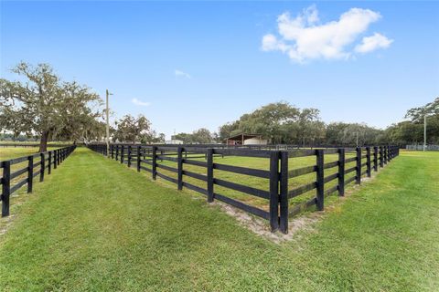 Tiny photo for 12943 County Road 245e, Oxford, FL 34484 (MLS # OM712548)