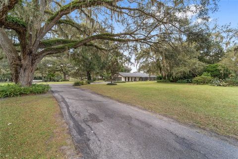 Tiny photo for 12943 County Road 245e, Oxford, FL 34484 (MLS # OM712548)
