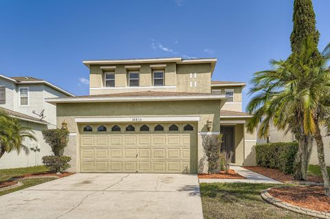 Photo of 18833 Litzau Lane, Land O Lakes, FL 34638 (MLS # O6333571)