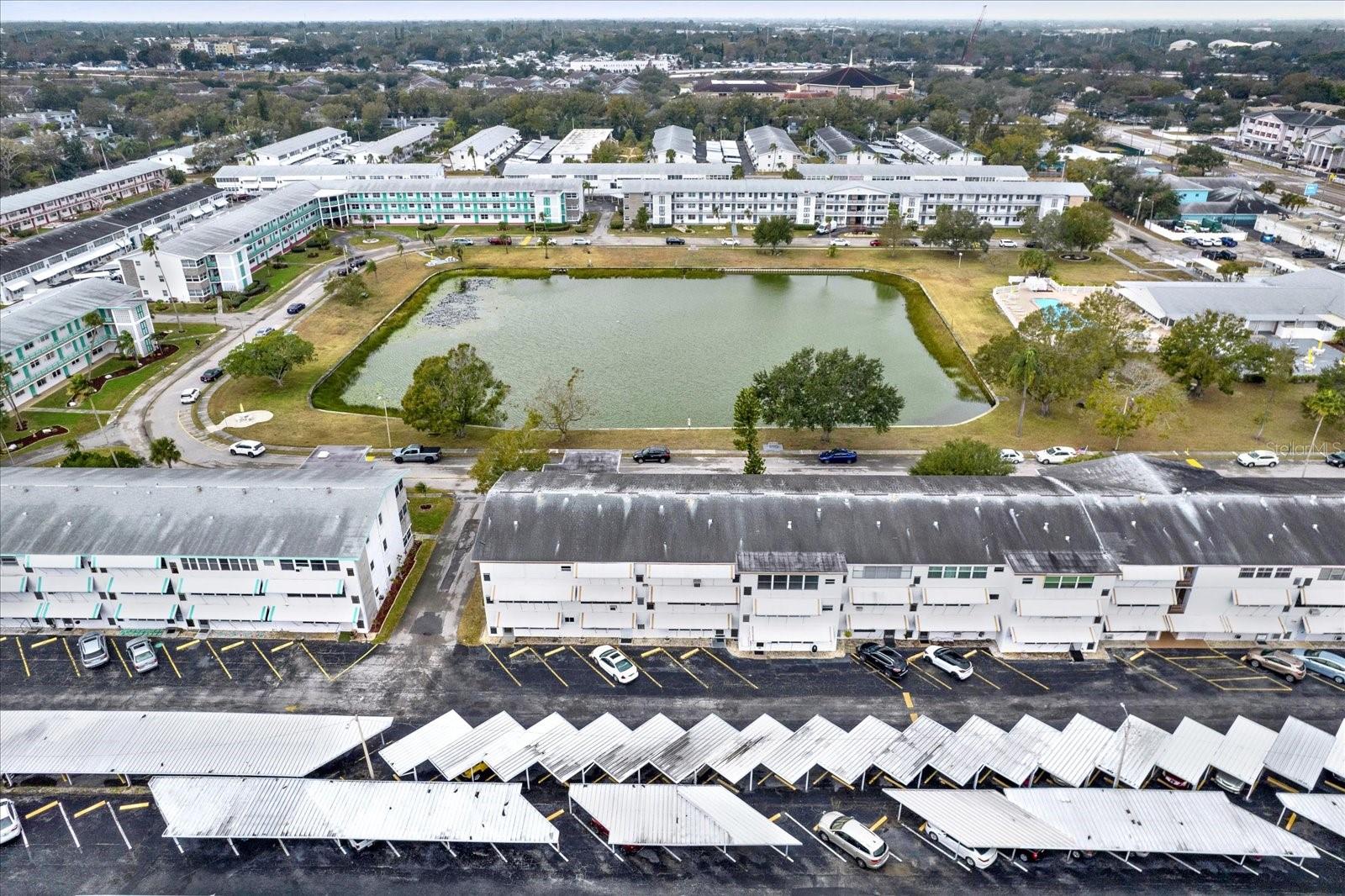 TOWN APTS CONDO - Residential