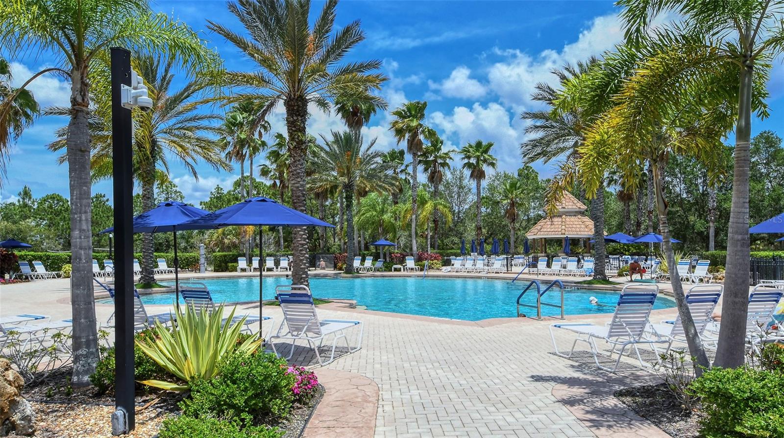 STONEYBROOK AT VENICE - Residential