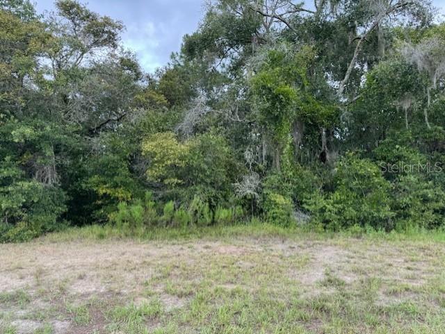 CITRUS SPGS UNIT 21 - Land