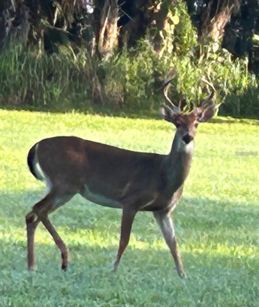 BENT TREE VILLAGE - Residential