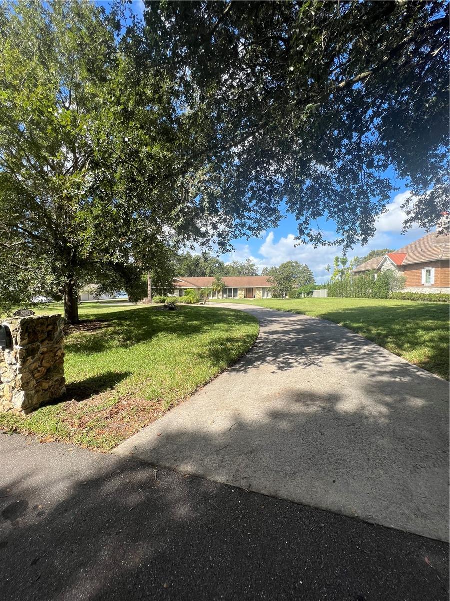 LAKE DOWN SHORES REP - Land