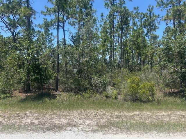 Build Your Dream Home in Scenic Indian Lake Estates: Welcome to Indian Lake Estates, a peaceful and picturesque community nestled along the shores of the stunning 7,500-acre Lake Walk-In-Water—nationally renowned as one of Florida’s premier bass fishing lakes. This generously sized half-acre lot is the perfect canvas for your custom dream home, offering a harmonious blend of natural beauty, abundant wildlife, and a vibrant, resort-style lifestyle. Community Highlights: Gated entrance for peace of mind, Florida’s longest freshwater fishing pier, Private lakefront access with beach, boat marina, ramp, and dock, Expansive 23,000 sq. ft. clubhouse featuring a fitness center, café, library, and more, 18-hole golf course, plus tennis and basketball courts, Community pool with a covered pavilion, propane grills, and picnic areas, Onsite post office, churches, and pro shop Nature & Convenience in One Location: Located just 20 miles east of Lake Wales, Indian Lake Estates offers the rare opportunity to enjoy serene country living while staying conveniently close to major attractions: Just over an hour to Orlando, Disney, and theme parks; Just over an hour to Tampa, Busch Gardens, and Gulf Coast beaches Nature lovers will delight in daily sightings of deer, wild turkeys, cranes, turtles, and other local wildlife. Whether you’re a fisherman, boater, golfer, or simply love the outdoors, this community is your gateway to peaceful living with recreational riches at your doorstep. ! Live the country life. Embrace the natural beauty. Build your future at Indian Lake Estates !