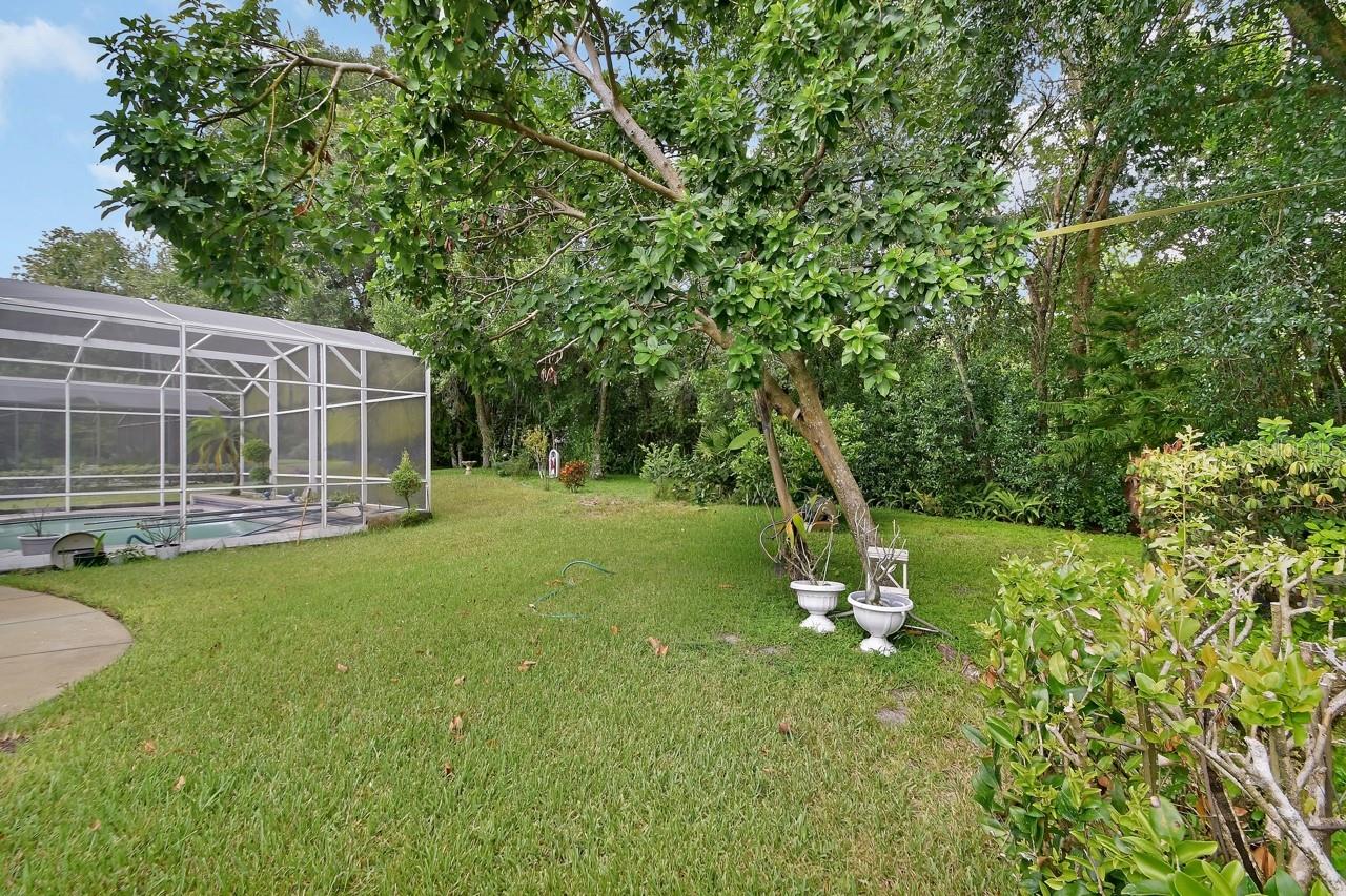 DEBARY PLANTATION UNIT 18B - Residential