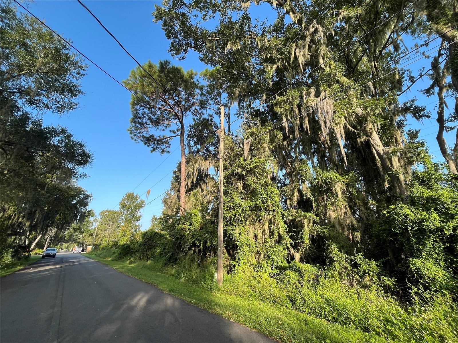 262 TOMS ROAD