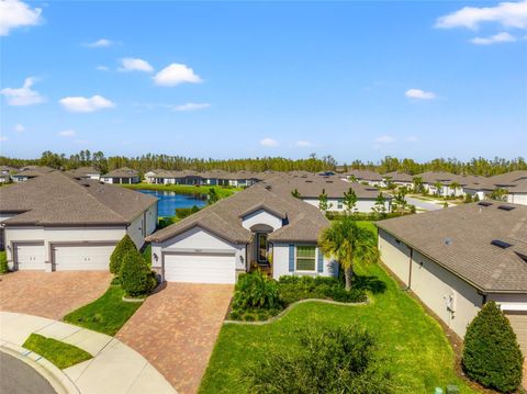 A home in LAND O LAKES