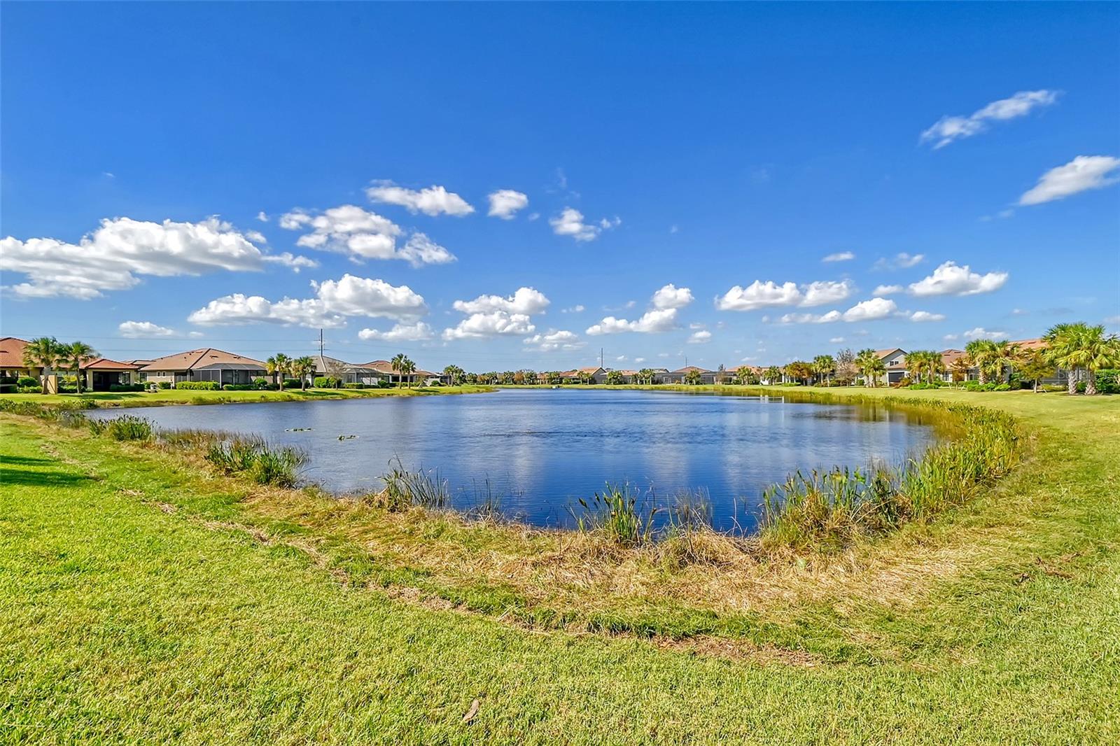 HAMMOCK PRESERVE PH 1A-4 1B & - Residential