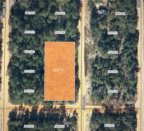 Photo of 00 Selma Ave, Interlachen, FL 32148 (MLS # O6389596)