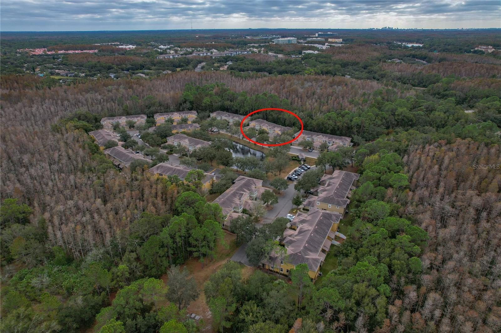 STONE RIDGE AT HIGHWOODS PRESERVE - Residential