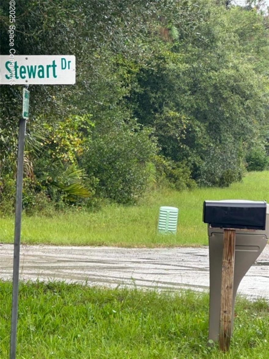 Here is your chance to purchase your piece of paradise. Property is 10.06 acres in it's natural state. Several nice homes in the area. Located close to Hwy US 1. Abundant wildlife. Rural living at it's finest but not to far from amenities. Buyer to do all do diligence.