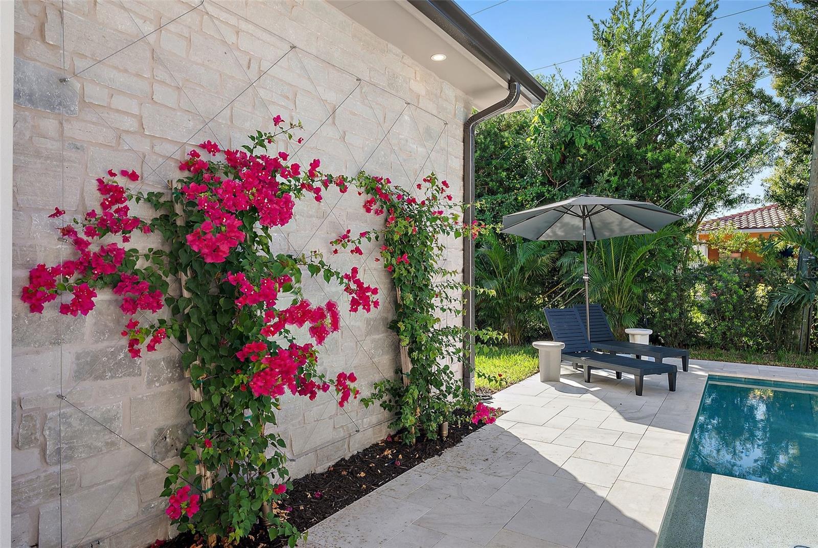 ALLENDALE TERRACE - Residential