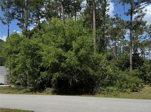19 WASSERMAN DRIVE PALM COAST FL 32164
