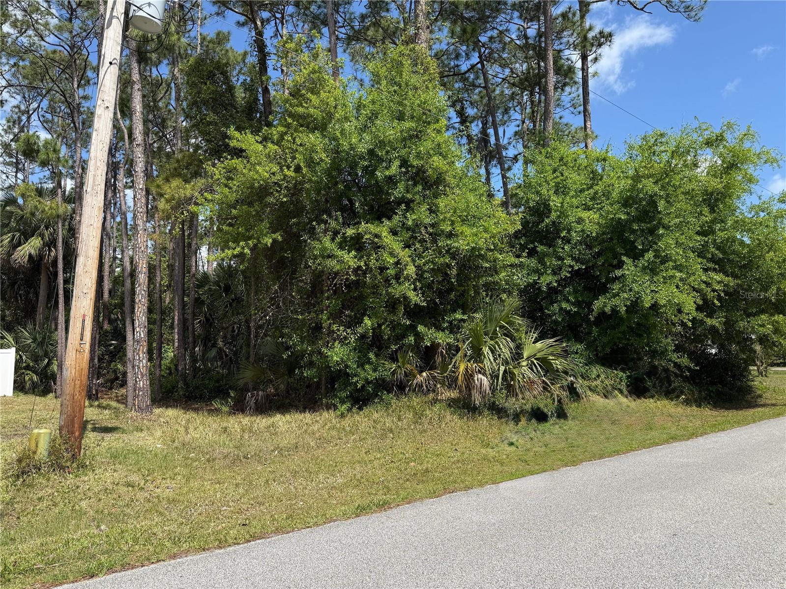 19 WASSERMAN DRIVE