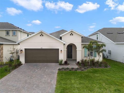 851 VINEYARD RIDGE ROAD MINNEOLA FL 34715