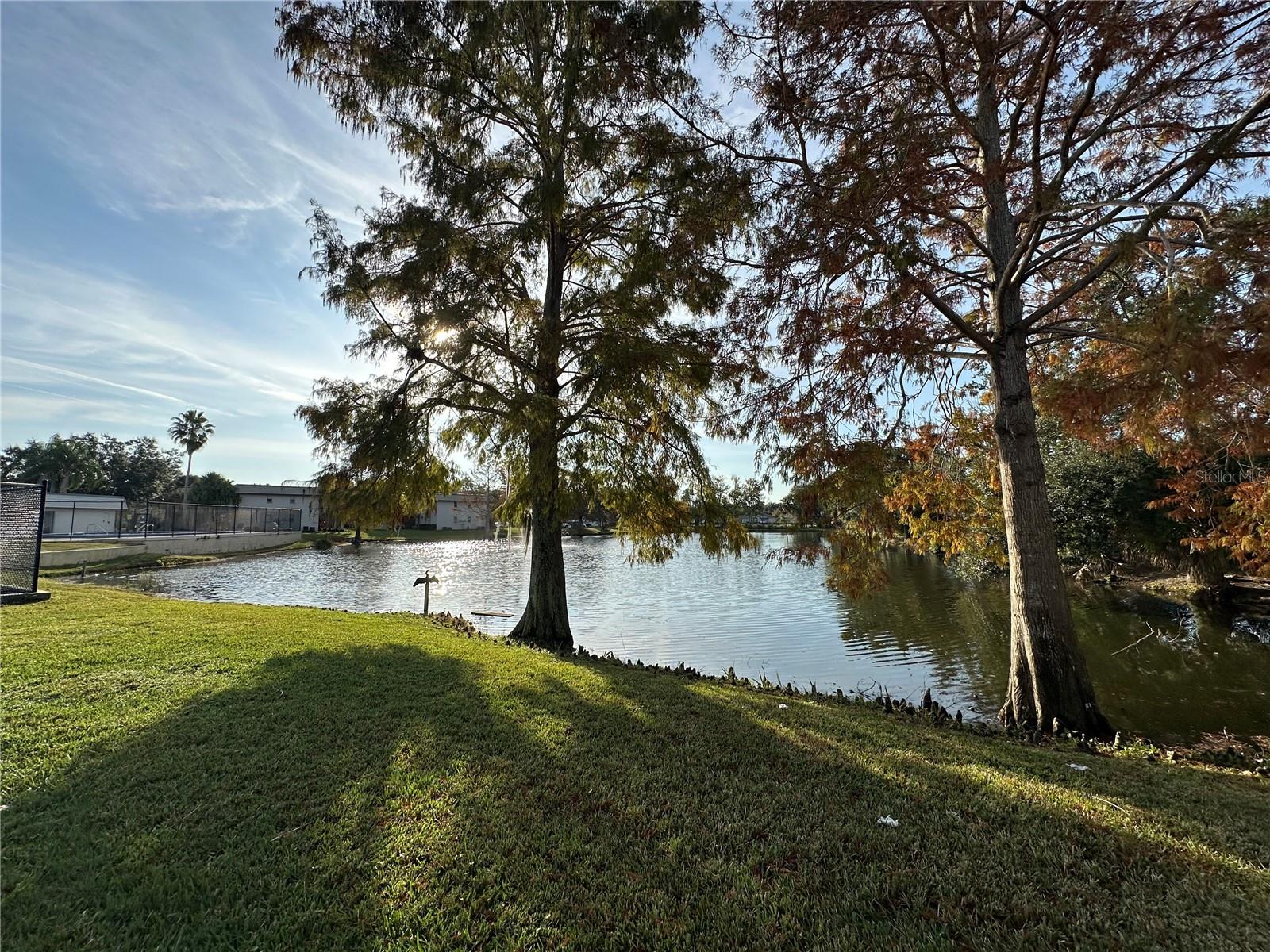 WINDTREE GARDENS CONDO PH 01 - Residential