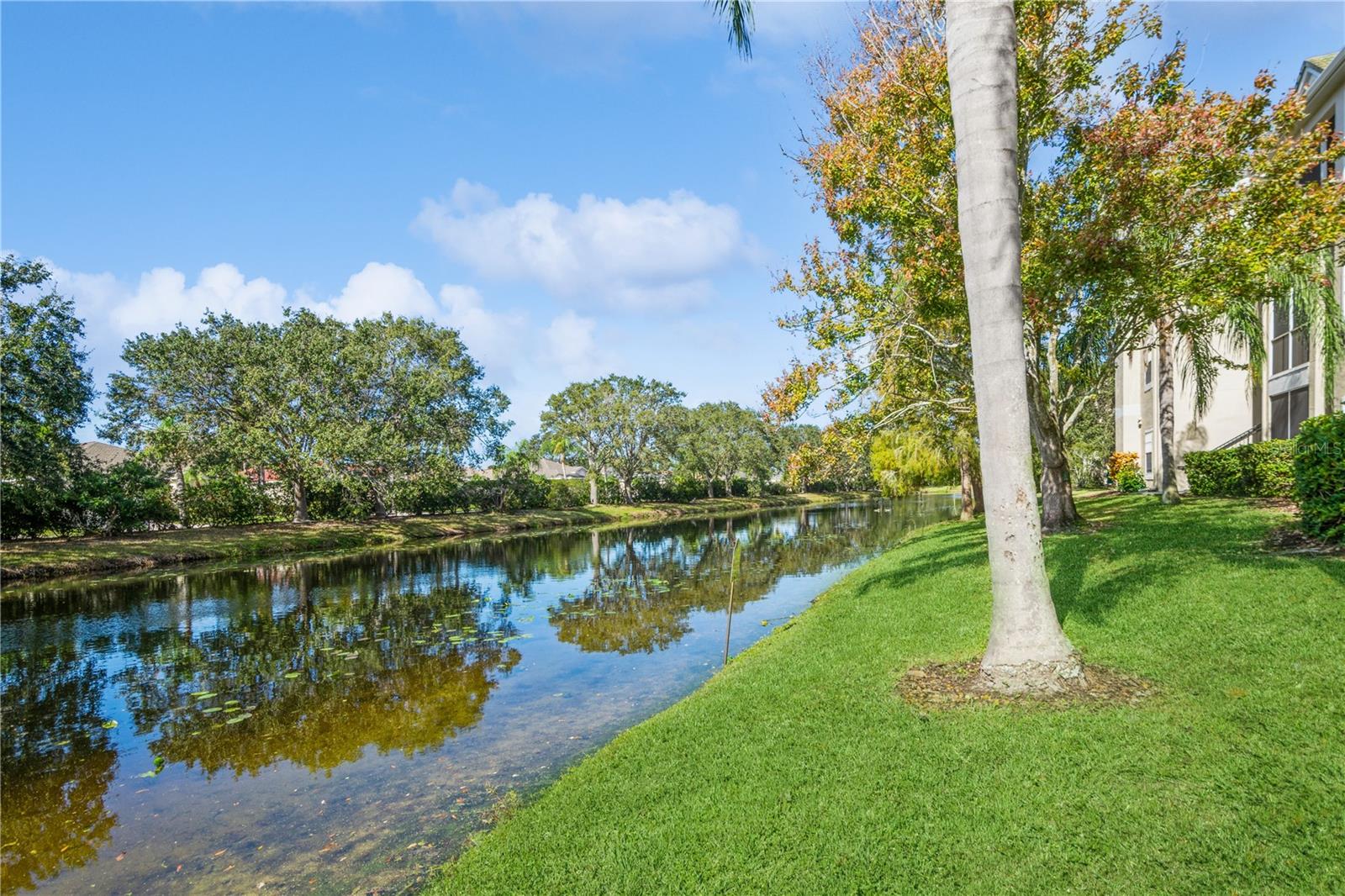 SERENADE ON PALMER RANCH - Residential Lease