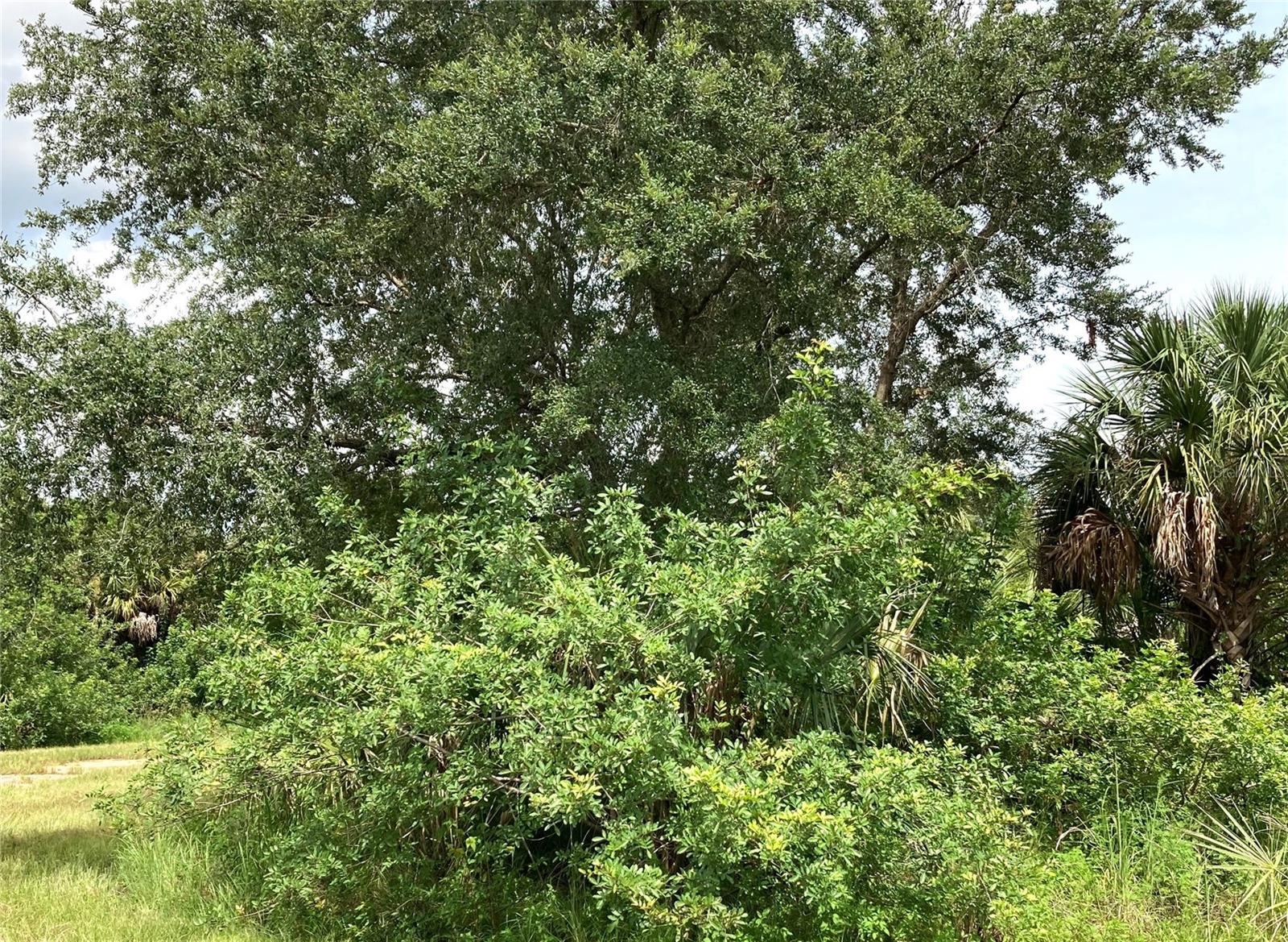 PORT CHARLOTTE SUB 46 - Land